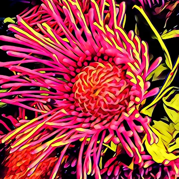 Artwork thumbnail, Striking Beauty by RandaRubyRed