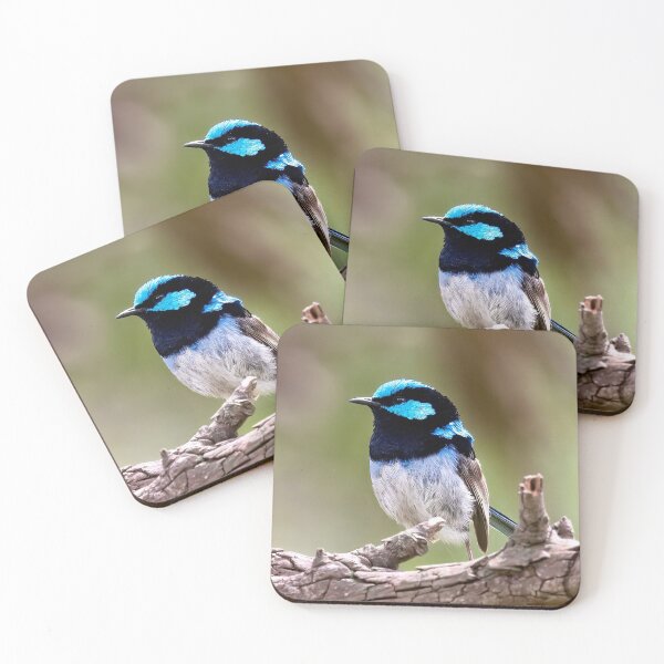 Item preview, Superb Fairywren  designed and sold by John  Kowalski.