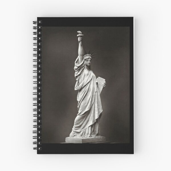 Aperçu de l'œuvre statue de la liberté, new york créée et vendue par cheechlaroo13.