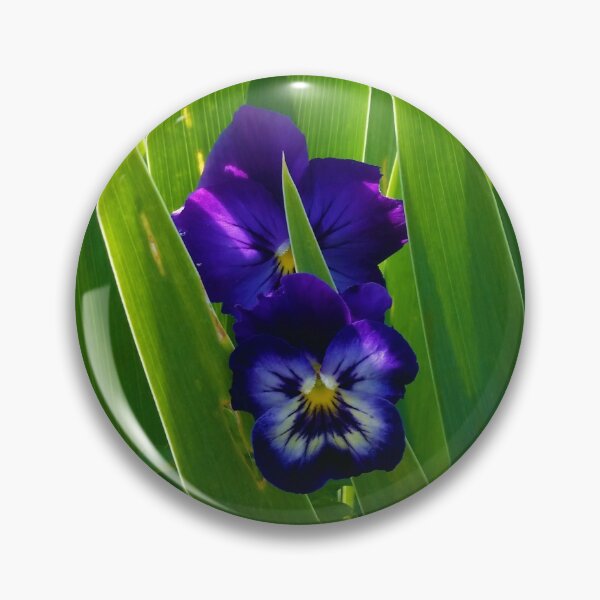 Item preview, Purple Pansies - Mt Eden Gardens designed and sold by CleverCharles.