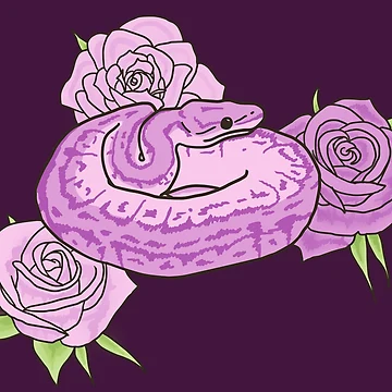 Artwork thumbnail, Ball Python and Roses by starlightify