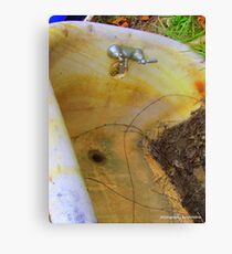 Leaf Bath Canvas Print