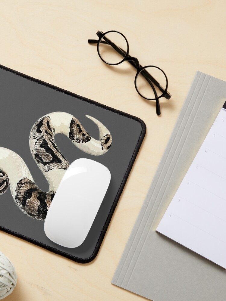 Ball Python Axanthic Pied Snake Poster for Sale by Elarex