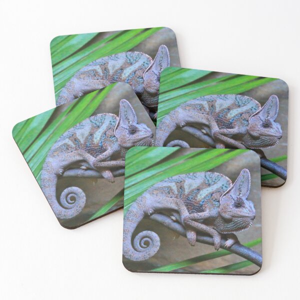 Item preview, Veiled chameleon at the zoo designed and sold by FranWest.