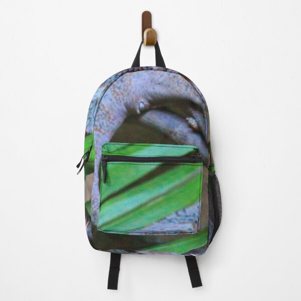 Item preview, Veiled chameleon at the zoo designed and sold by FranWest.
