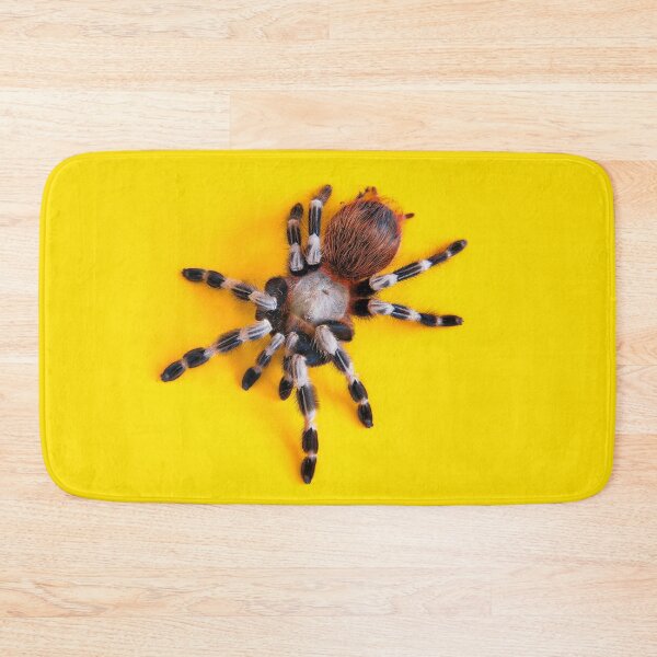Item preview, Nahndu Chromatus Female Spider designed and sold by MorningFive.