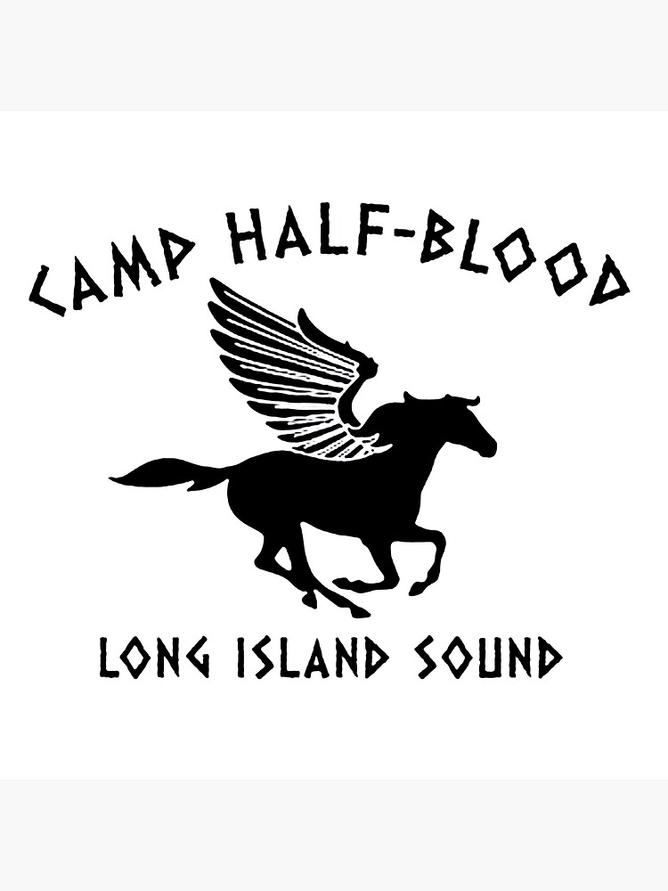 haha suh dude — CAMP HALF-BLOOD, Brand exploration