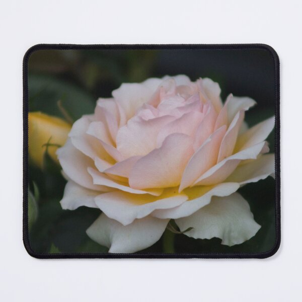 Item preview, Rose designed and sold by alexandracpinto.