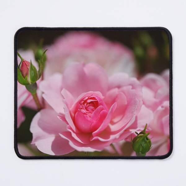 Item preview, Pink Roses Summer Tree designed and sold by Joy Watson - Natural Light Photography .