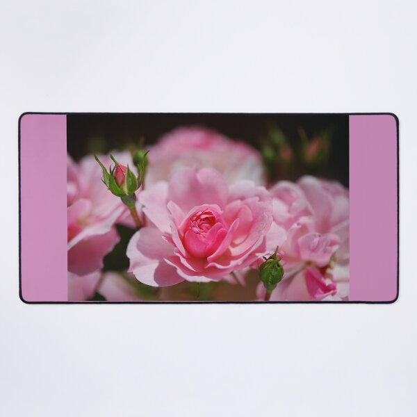 Item preview, Pink Roses Summer Tree designed and sold by Joy Watson - Natural Light Photography .