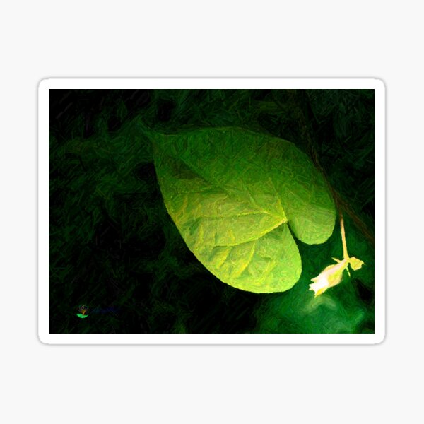 Morning Glory Leaf & Bud Sticker