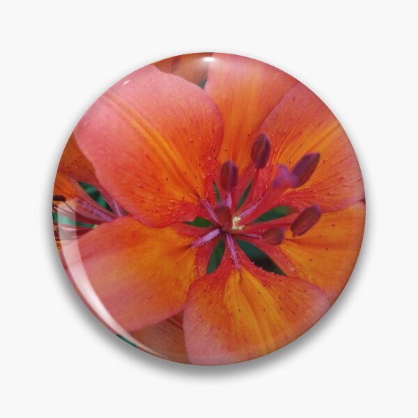 Item preview, Lirio al atardecer designed and sold by HarshPerception.