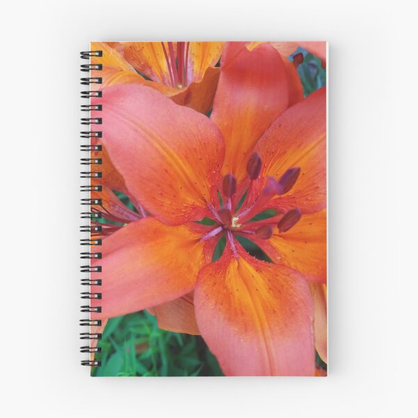 Item preview, Lirio al atardecer designed and sold by HarshPerception.