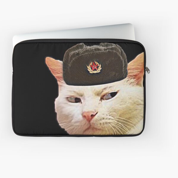 soviet hat cat with russian hat