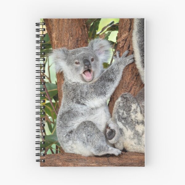 Item preview, A Very Happy Baby Koala designed and sold by Andrew Goodall.