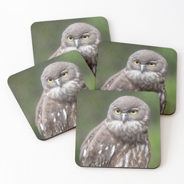 Item preview, Barking Owl, Australian Birdlife designed and sold by Andrew Goodall.