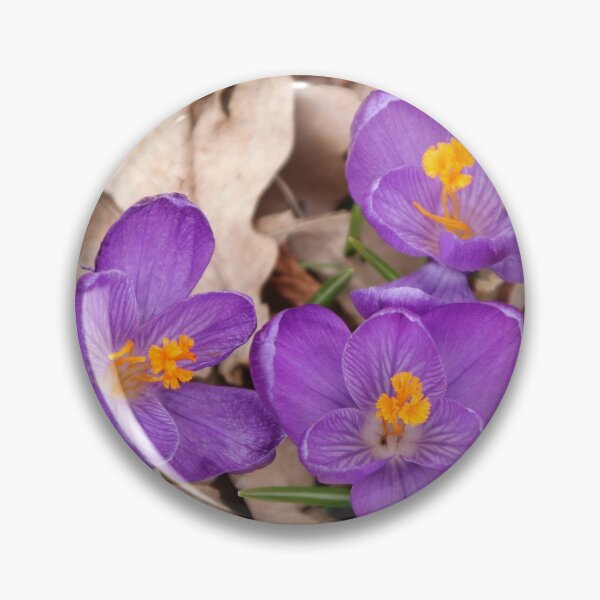 Aperçu de l'œuvre Crocus violets créée et vendue par Joan van der Wereld.