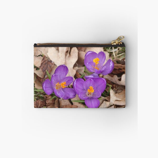 Aperçu de l'œuvre Crocus violets créée et vendue par Joan van der Wereld.