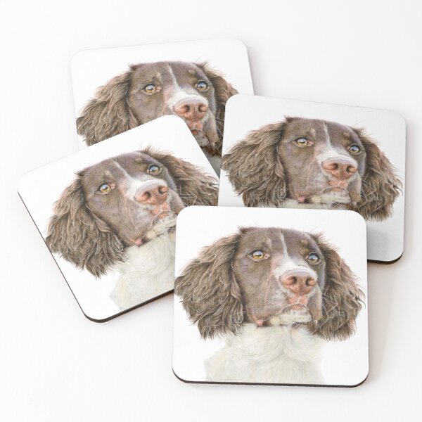 Artikelvorschau, Springer Spaniel entworfen und verkauft von LornaDandyArt.
