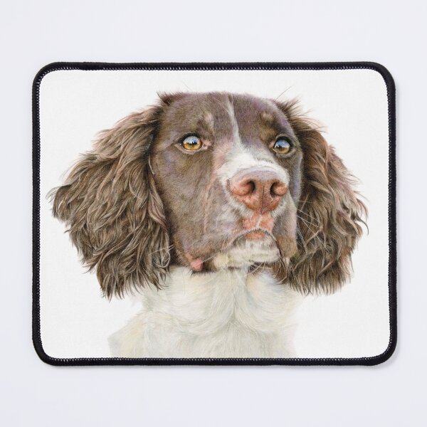 Item preview, Springer Spaniel designed and sold by LornaDandyArt.