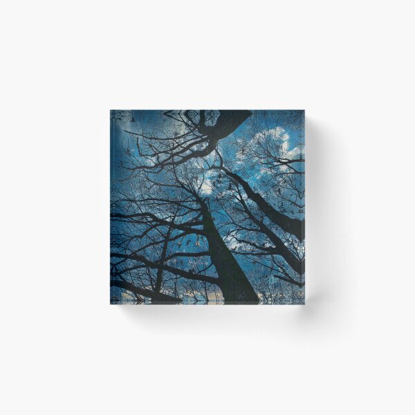 Item preview, Dramatic Winter Look up Photo designed and sold by STIGPhotoDesign.