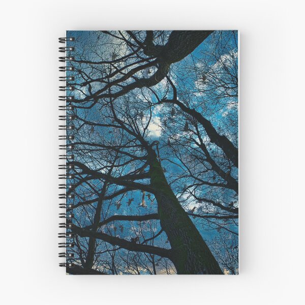 Item preview, Dramatic Winter Look up Photo designed and sold by STIGPhotoDesign.