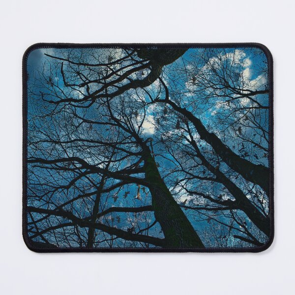 Item preview, Dramatic Winter Look up Photo designed and sold by STIGPhotoDesign.