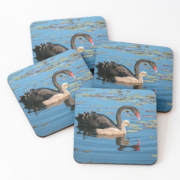 Item preview, Black Swan and Cygnet designed and sold by Andrew Goodall.