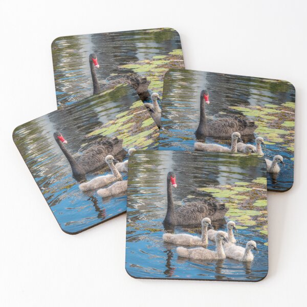 Item preview, Swan Family In Formation designed and sold by Andrew Goodall.