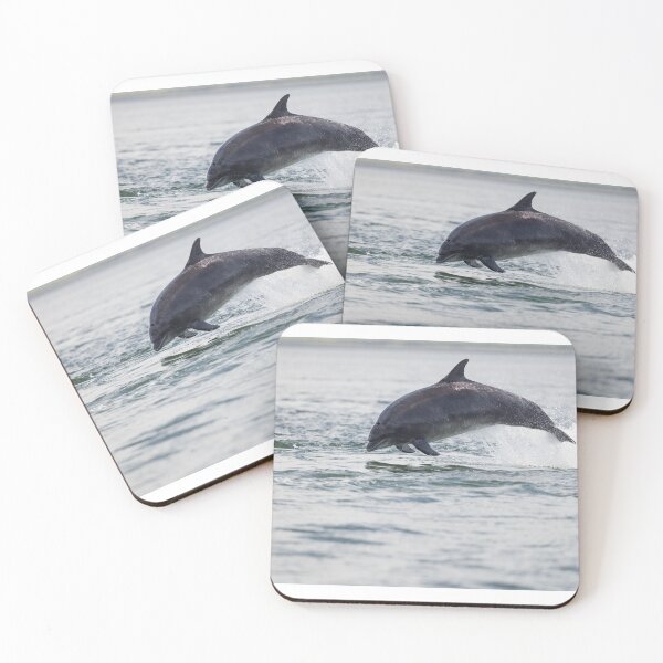 Item preview, Copy of Copy of Young wild dolphin designed and sold by chanonry.