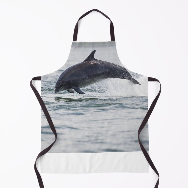 Item preview, Copy of Copy of Young wild dolphin designed and sold by chanonry.