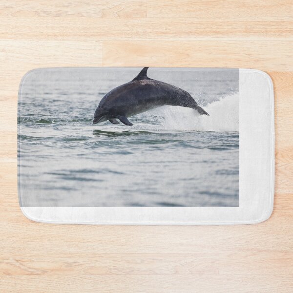 Item preview, Copy of Copy of Young wild dolphin designed and sold by chanonry.
