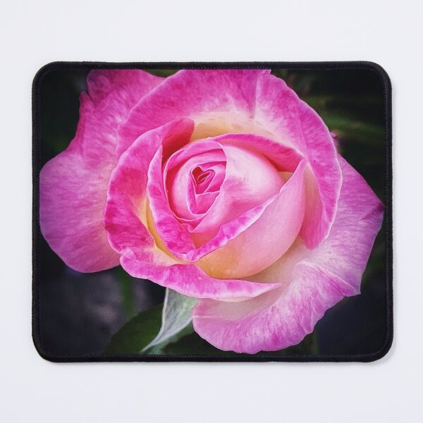 Item preview, Princess De Monaco Rose designed and sold by Darren Stones.