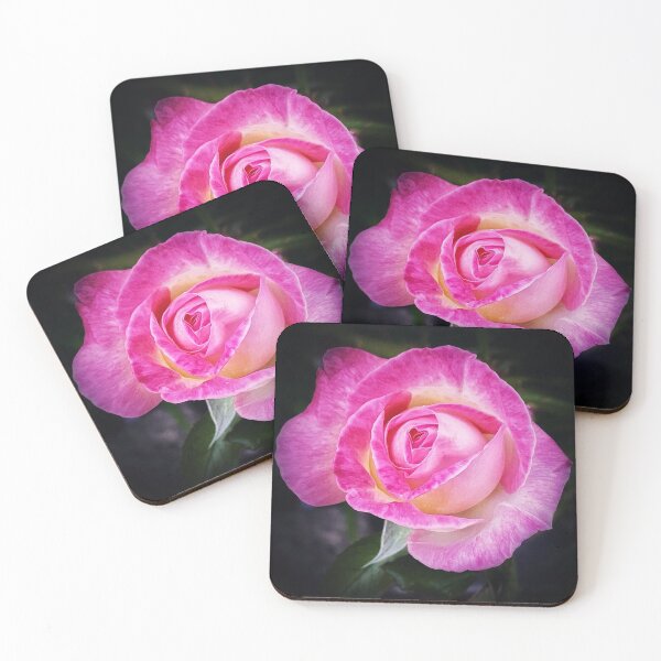 Item preview, Princess De Monaco Rose designed and sold by Darren Stones.