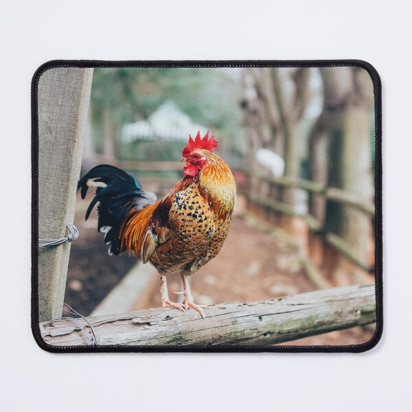 Item preview, Cockerel on A Farm - Cock-a-doodle-do - The Charm of Rural Landscape designed and sold by sthNnth.