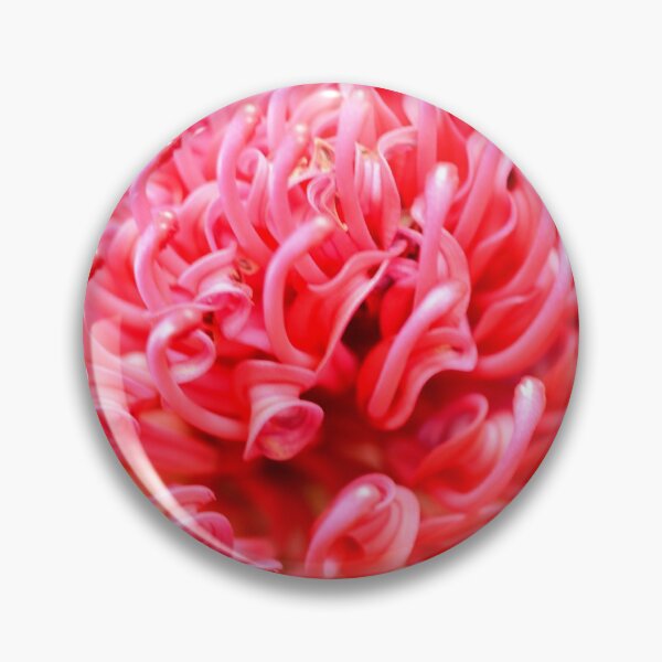 Item preview, The Waratah designed and sold by imaginethis.