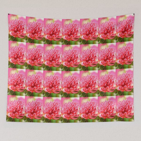 Item preview, The Waratah designed and sold by imaginethis.