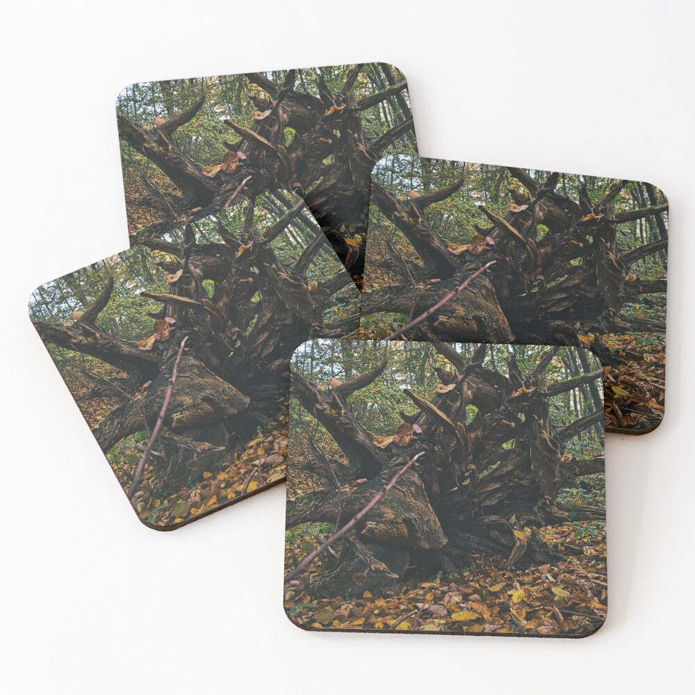 Item preview, Coasters (Set of 4) designed and sold by STIGPhotoDesign.