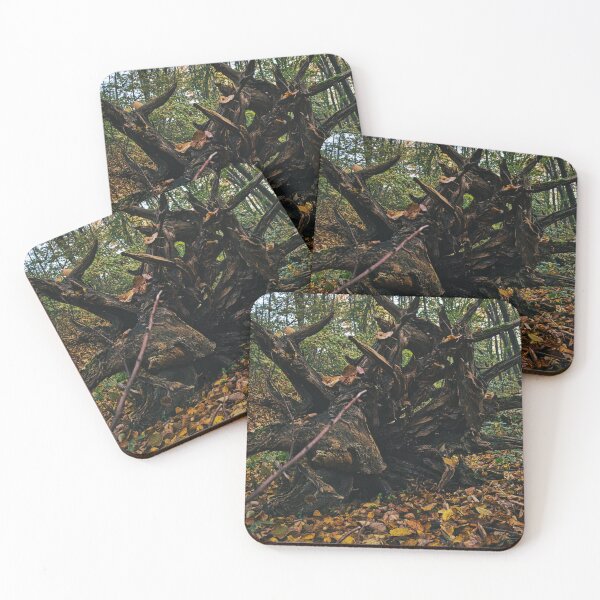 Item preview, Fallen Tree Trunk Photo designed and sold by STIGPhotoDesign.