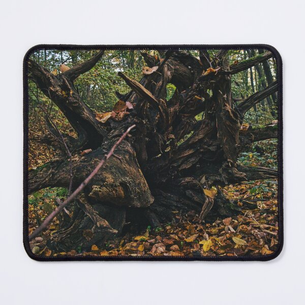 Item preview, Fallen Tree Trunk Photo designed and sold by STIGPhotoDesign.