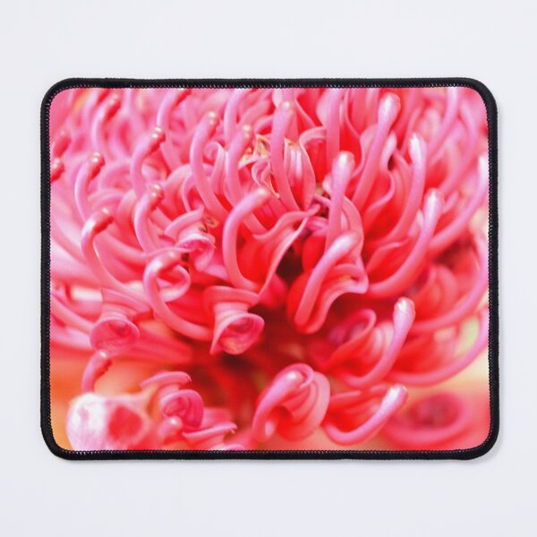 Item preview, The Waratah designed and sold by imaginethis.