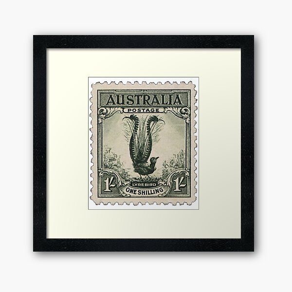 Australia Lyre Bird Vintage Postage Stamp Framed Art Print for Sale by red- amber65