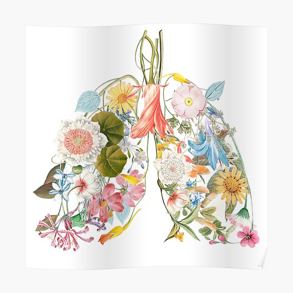 Flower Lungs Posters for Sale | Redbubble Flower Lungs Posters for Sale | Redbubble