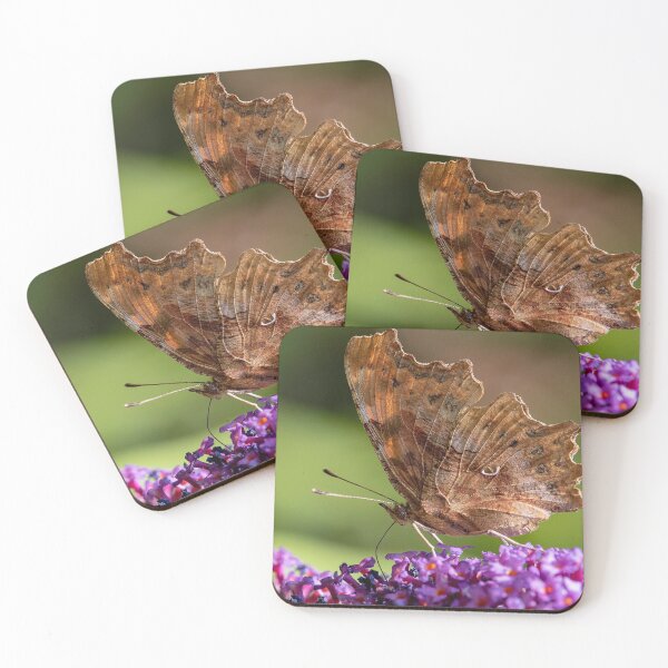 Item preview, Comma Butterfly on Buddleia designed and sold by DonMc.