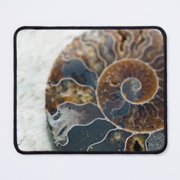 Item preview, Ammonite  designed and sold by Elena Ray.