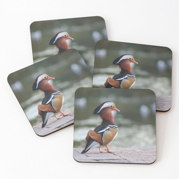 Item preview, Mandarin Duck designed and sold by MvMeer.