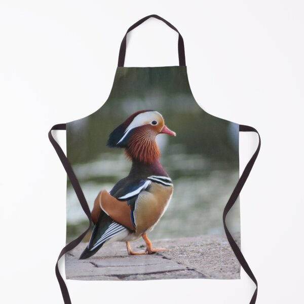 Item preview, Mandarin Duck designed and sold by MvMeer.