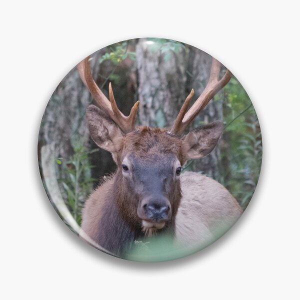 Item preview, Bull Elk Chillin designed and sold by KC-IM.