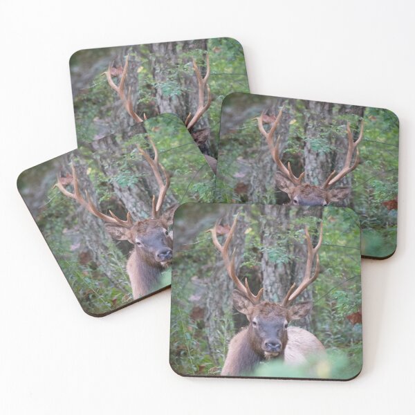 Item preview, Bull Elk Chillin designed and sold by KC-IM.