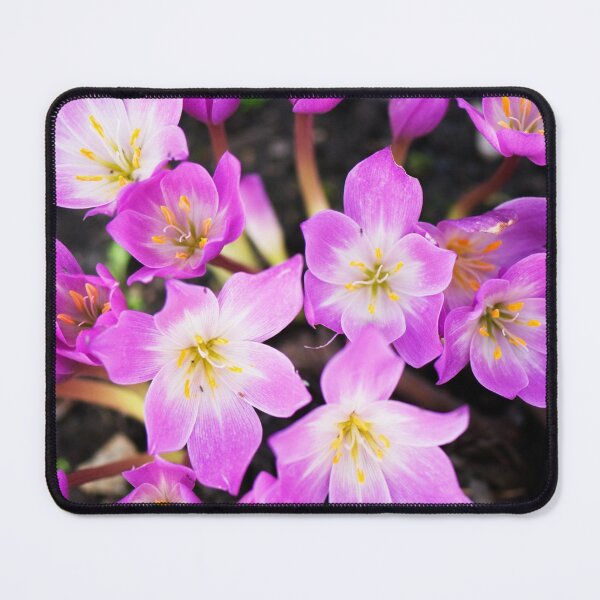 Item preview, Crocus designed and sold by Lauviahsdesign.
